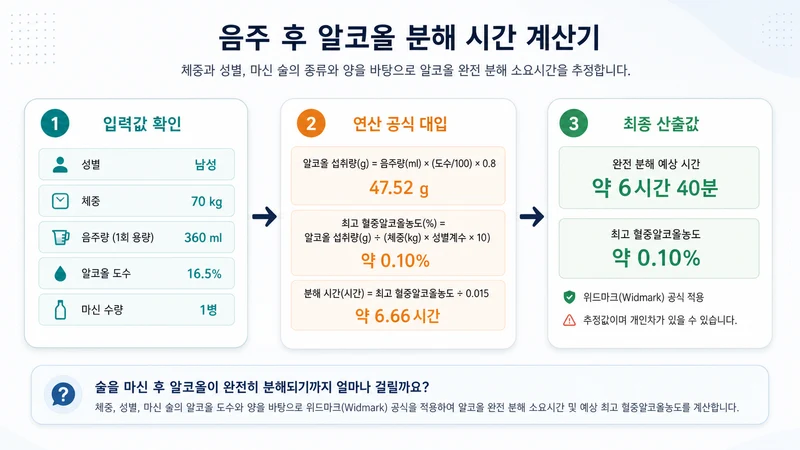 음주 후 알코올 분해 시간 계산기 계산 방법 및 공식