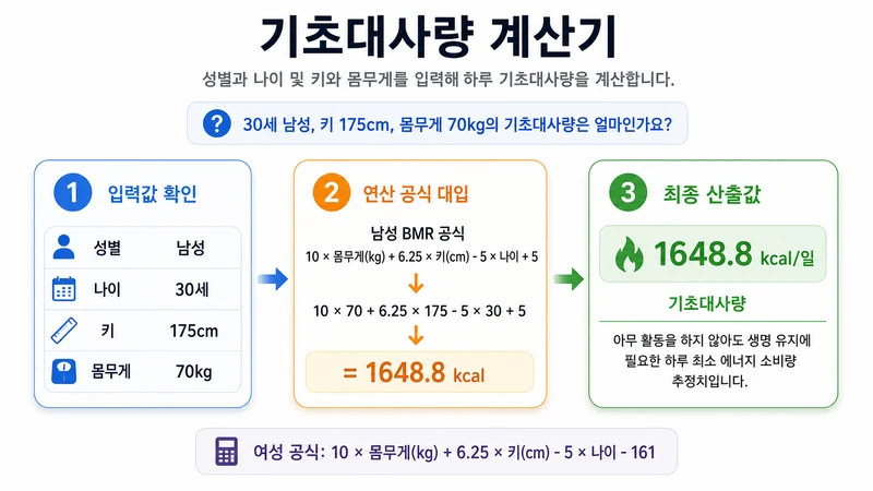 기초대사량 계산기 계산 방법 및 공식