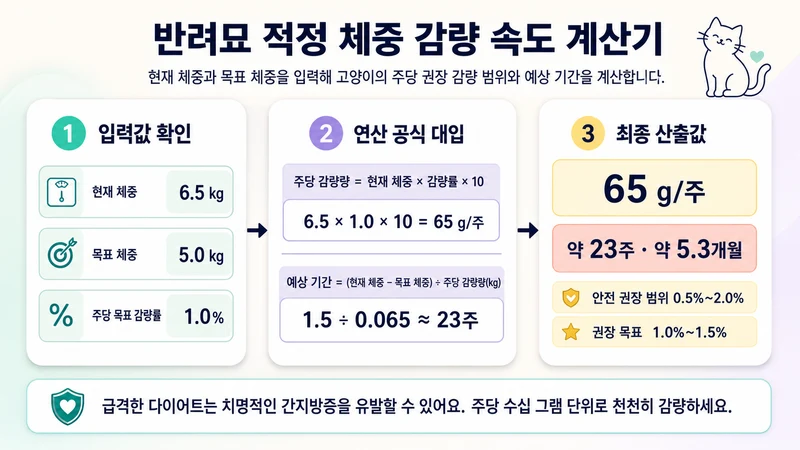 반려묘 적정 체중 감량 속도 계산기 계산 방법 및 공식