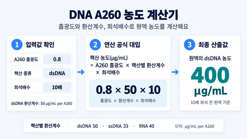 DNA A260 농도 계산기 계산 방법 및 공식