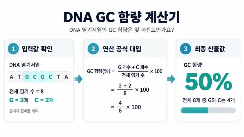 DNA GC 함량 계산기 계산 방법 및 공식
