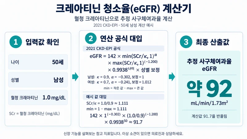 크레아티닌 청소율(eGFR) 계산기 계산 방법 및 공식